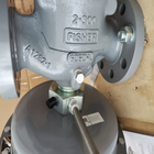 Alto flujo Rate Fisher Gas Regulator 1098-EGR para el servicio corrosivo del oxígeno de los ambientes